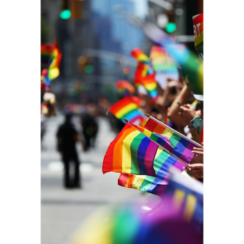 /upload_dir/pics/Regnbueflag/_thumbs/Pride-flag_1.w350.h350.png